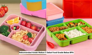 Rekomendasi Kotak Makan 5 Sekat Food Grade Bebas BPA Kotak Makan 5 Sekat